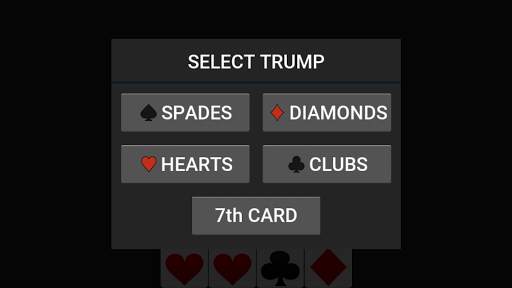 29 Card Game screenshot 3