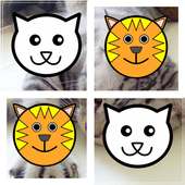 Fun Cat  3 in 1