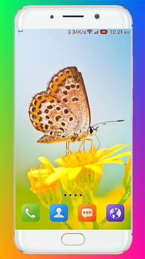 Butterfly Wallpaper HD screenshot 4