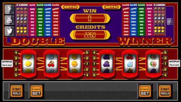 slots - Double Winner screenshot 3