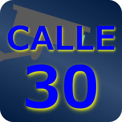 Cámaras Calle 30 1.1.3