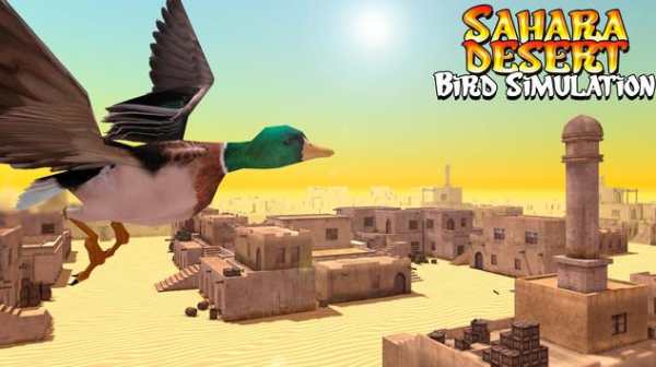 Sahara Desert Bird Simulation screenshot 2