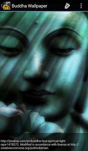 Buddha Wallpaper screenshot 6