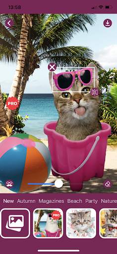 Cat Photo Editor screenshot 6
