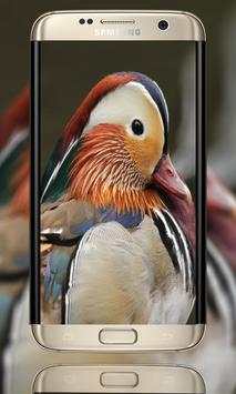 Camera Selfie Caméra HD / Pro screenshot 3