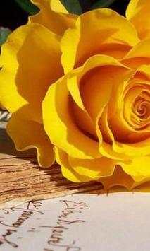 Roses 3d Wallpapers screenshot 1