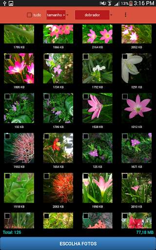 QReduce: Redutor de foto screenshot 3