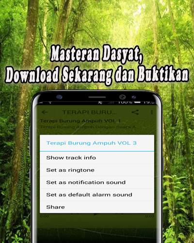 Terapi Burung MP3 Offline screenshot 5