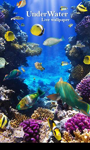 UnderWater Live Wallpaper screenshot 2
