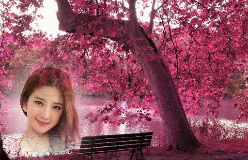 Pink Forest Photo Frames screenshot 3