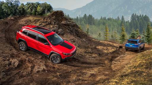 Offroad SUV Driving Simulation 2021 1 تصوير الشاشة