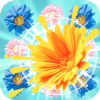 Blossom Pop Paradise icon