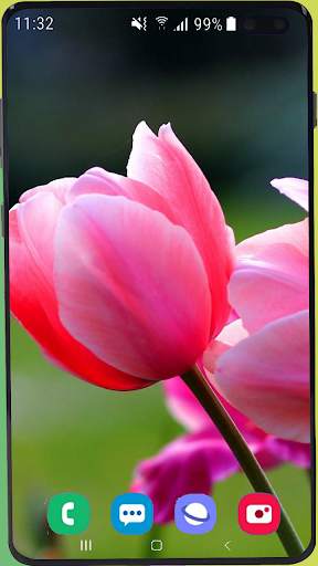 Flowers Wallpaper Best HD screenshot 10