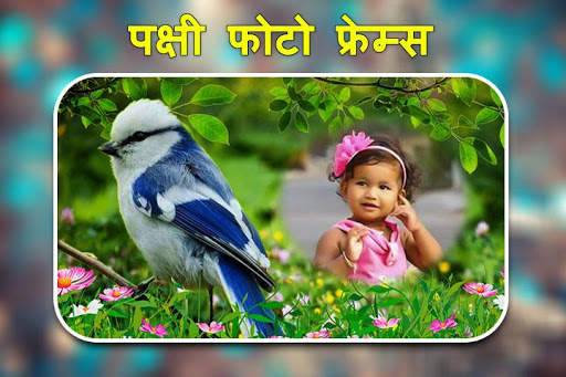 पक्षी फोटो फ्रेम्स। स्क्रीनशॉट 5
