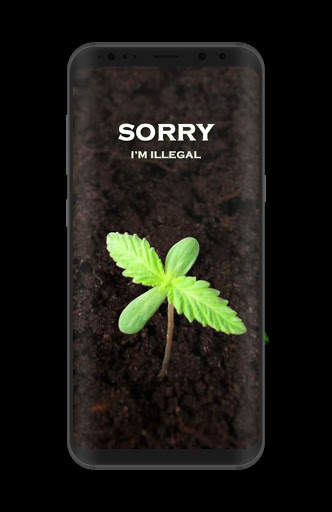 Weed Wallpaper screenshot 8