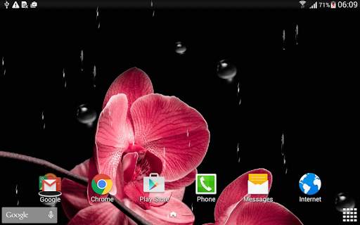 Orchids Live Wallpaper screenshot 8