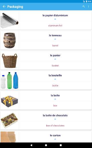 French Vocabulary By Topics (With Pictures) screenshot 20
