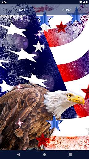 American Flag Wallpapers screenshot 6