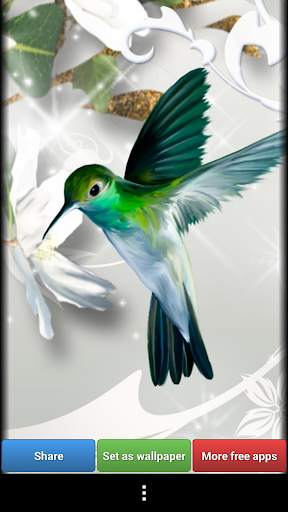 Hummingbirds HD Wallpaper screenshot 5