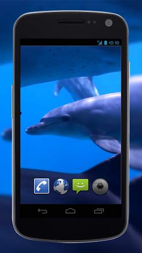 4K Dolphins Video Live Wallpaper screenshot 2