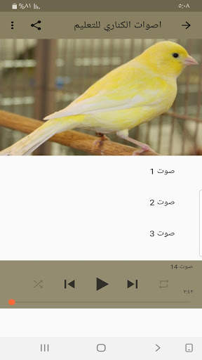 Canary sounds for education screenshot 2