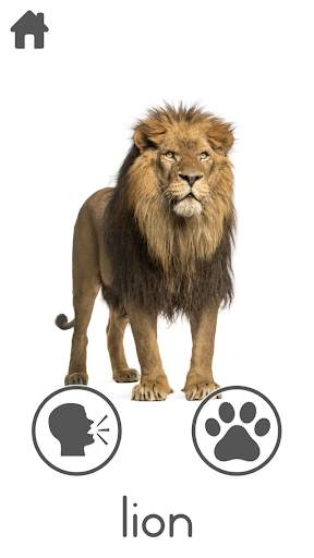Free 100  Animal Sounds screenshot 4
