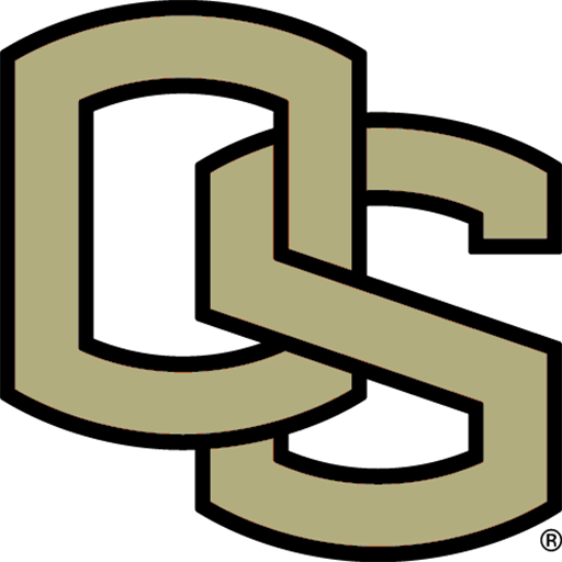 operating system icon