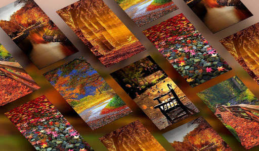 Autumn Wallpaper & Background screenshot 1