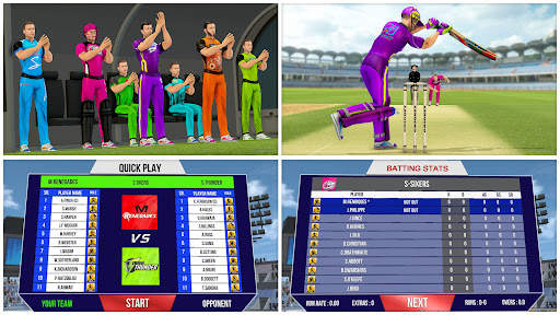 Aussie Cricket Championship screenshot 5