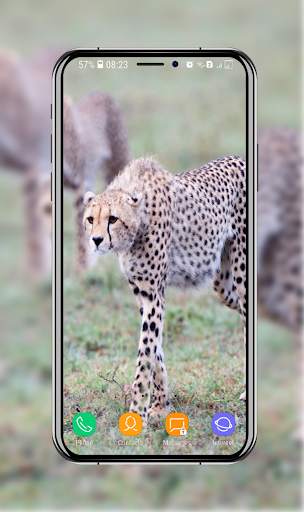 New Cheetah Wallpapers screenshot 16