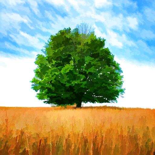 Live Wallpapers Free 2.01