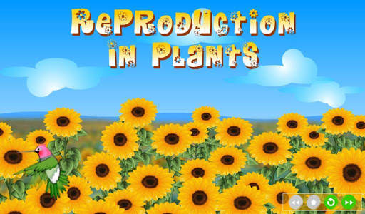Reproduction in Plants скриншот 1