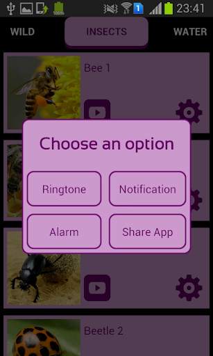 Animal Sounds & Ringtones screenshot 8