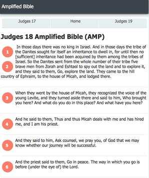 Amplified Bible screenshot 6