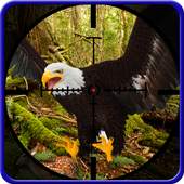 Desert Bird Sniper Shooting 1.11