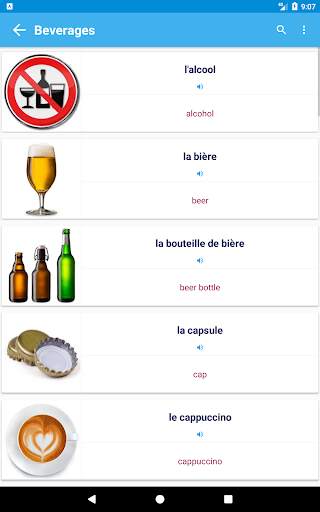 French Vocabulary By Topics (With Pictures) screenshot 10