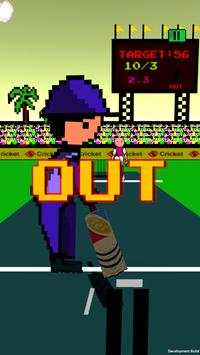 20 Cricket screenshot 3