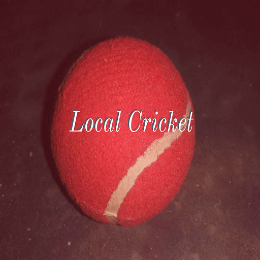 Local Cricket icon