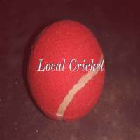 Local Cricket logo