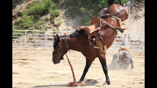 RODEO STYLE WALLPAPER screenshot 4