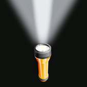 TORCH LIGHT - REAL LIGHT