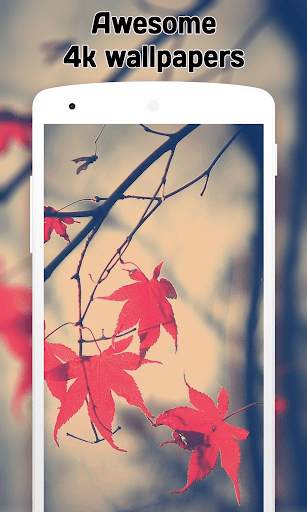 Autumn Wallpaper (4k) screenshot 1