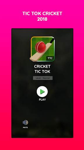 Tic Tok Cricket screenshot 1