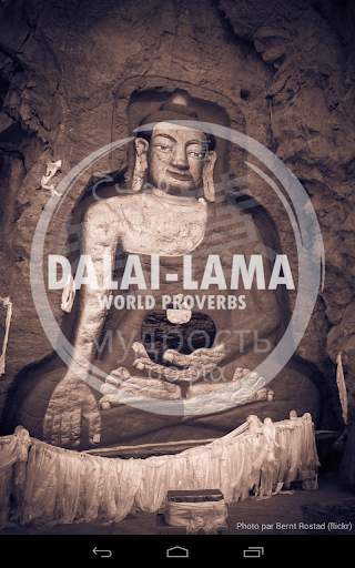 Dalai lama & Buddha quotes screenshot 1