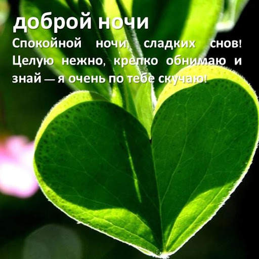 Good Night SMS Messages in Russian screenshot 2