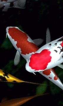 KOI Lucky Fish 3D Theme New Wallpapers screenshot 2