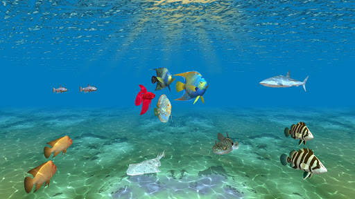 Ocean Fish Under Water Live Wallpaper screenshot 12