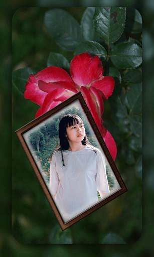 Best Beautiful Flower Photo Frame 2021 Updated 23 تصوير الشاشة