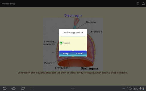 Human Body - Anatomy screenshot 12