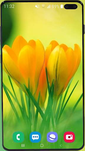 Flowers Wallpaper Best HD screenshot 7